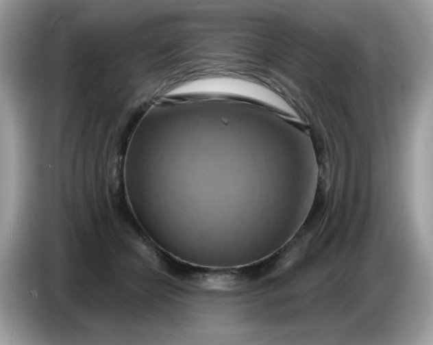 X0000086750462200704271714