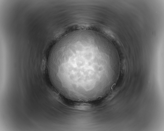 X0000086750463200704271714