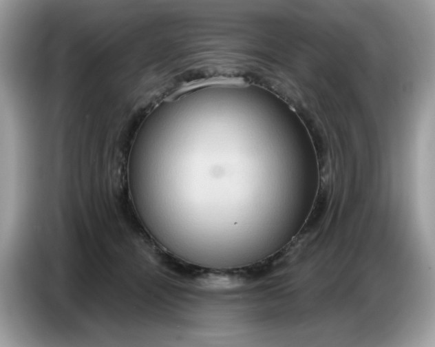 X0000086750464200704271714