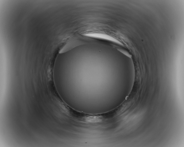 X0000086750465200704271714