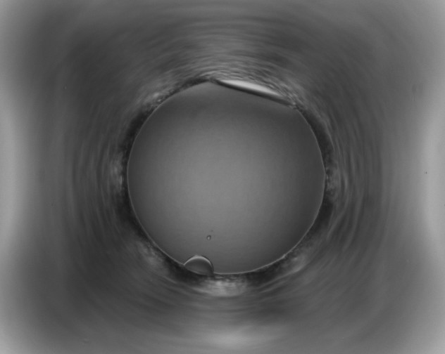 X0000086750466200704271714