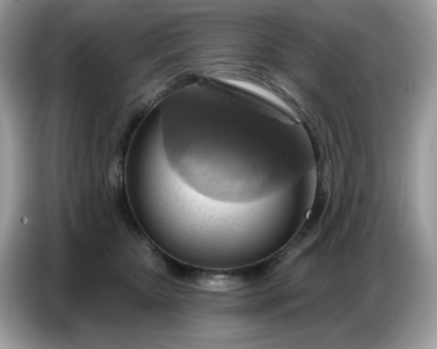 X0000086750467200704271714