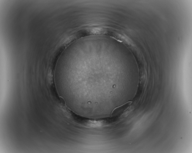 X0000086750469200704271714