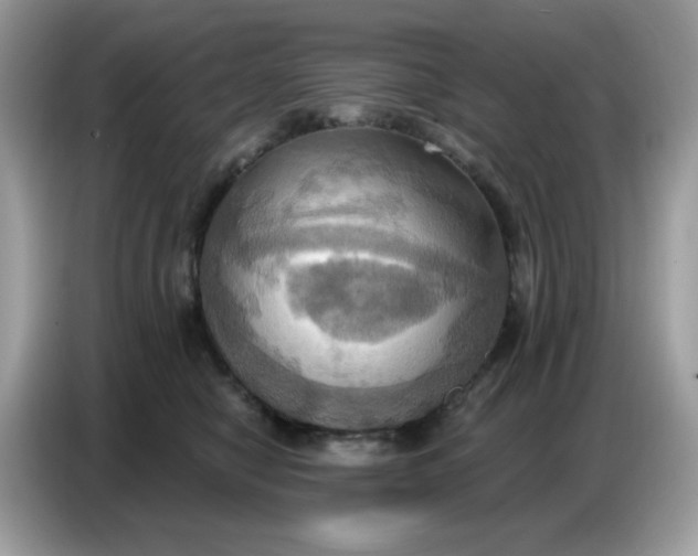 X0000086750470200704271714