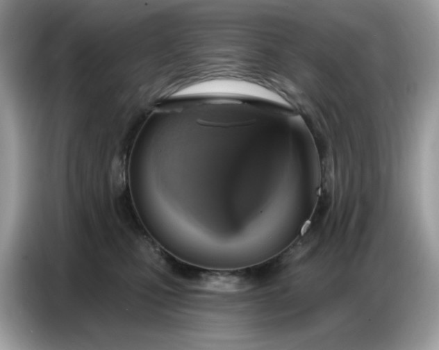 X0000086750471200704271714