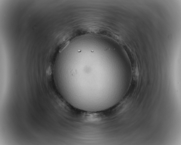 X0000086750472200704271714