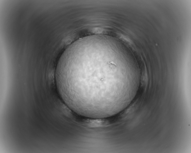 X0000086750473200704271714