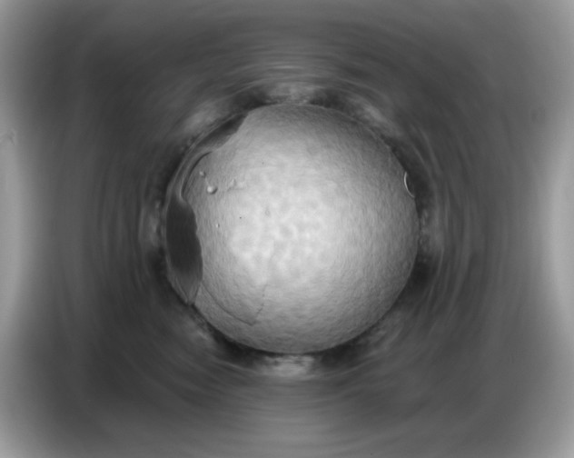 X0000086750474200704271714