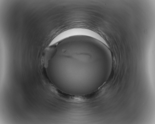 X0000086750475200704271714