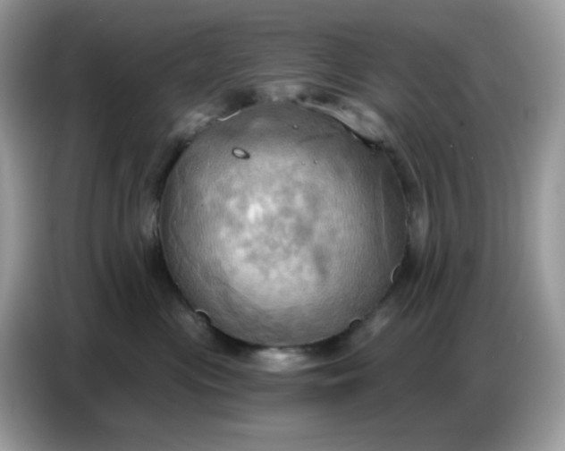 X0000086750477200704271714