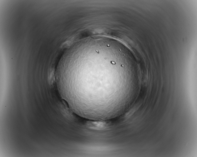 X0000086750478200704271714