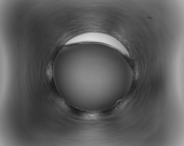 X0000086750479200704271714