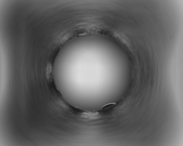 X0000086750480200704271714