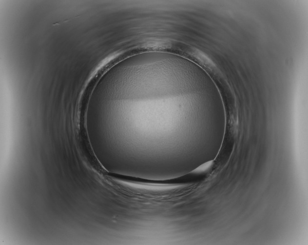 X0000086750484200704271713