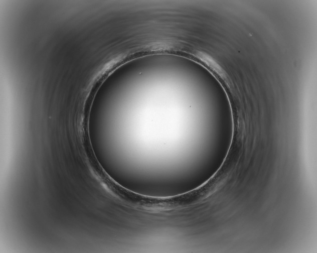 X0000086750485200704271713