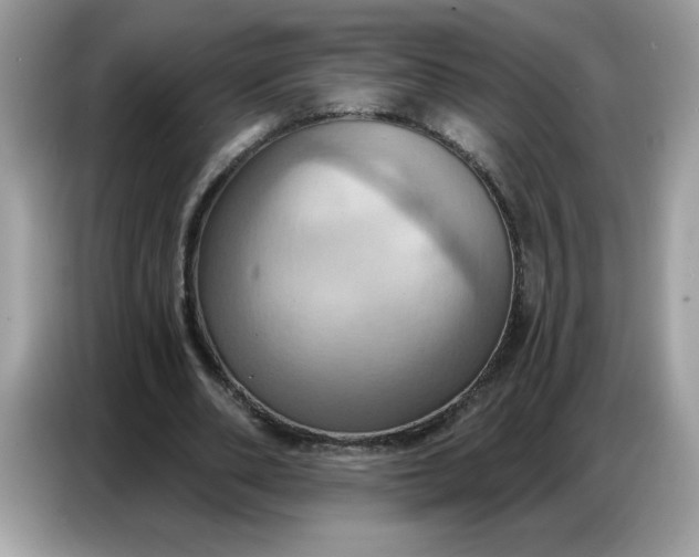 X0000086750486200704271713