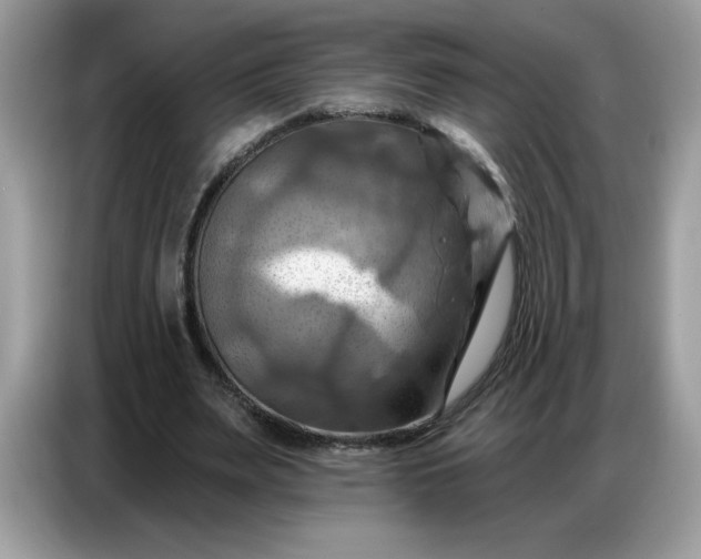 X0000086750487200704271713