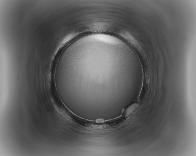 X0000086750488200704271713