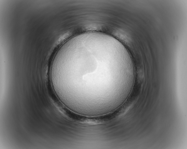 X0000086750490200704271713