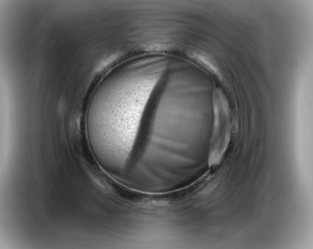 X0000086750491200704271713