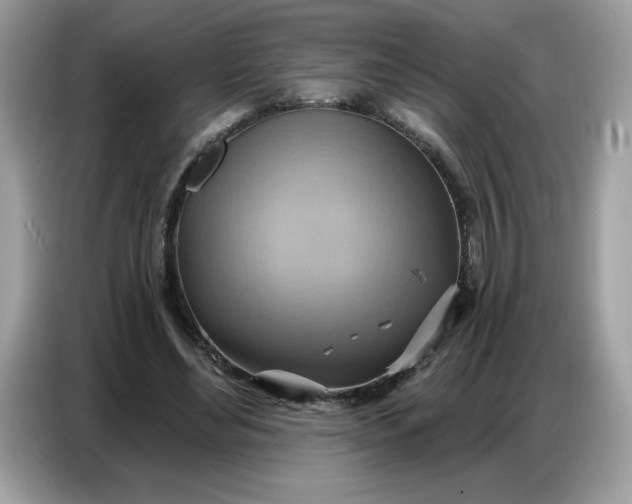 X0000086750492200704271713