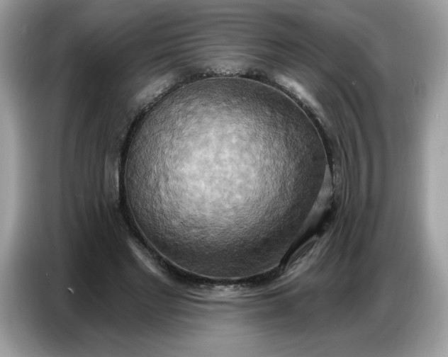 X0000086750493200704271713