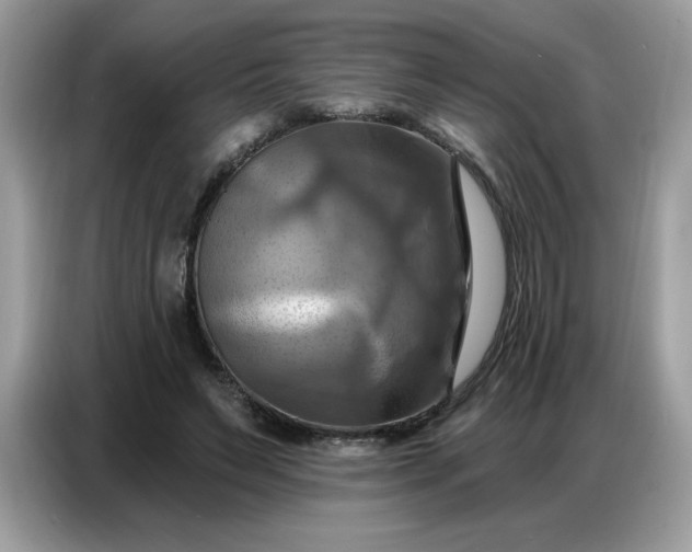 X0000086750495200704271713