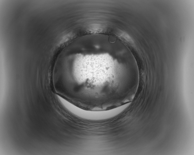 X0000086750499200704271713