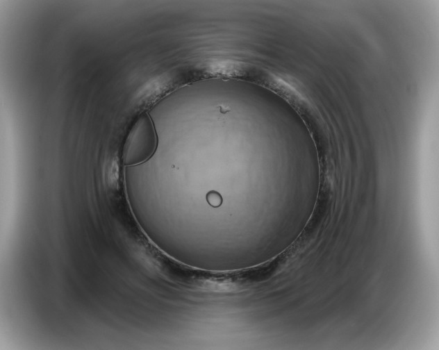 X0000086750502200704271713