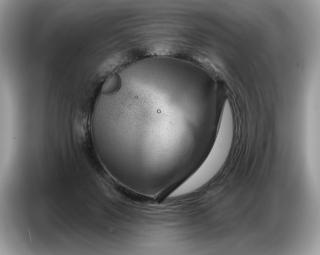 X0000086750503200704271713