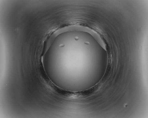 X0000086750504200704271713