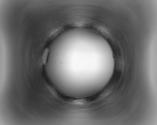 X0000086750505200704271713