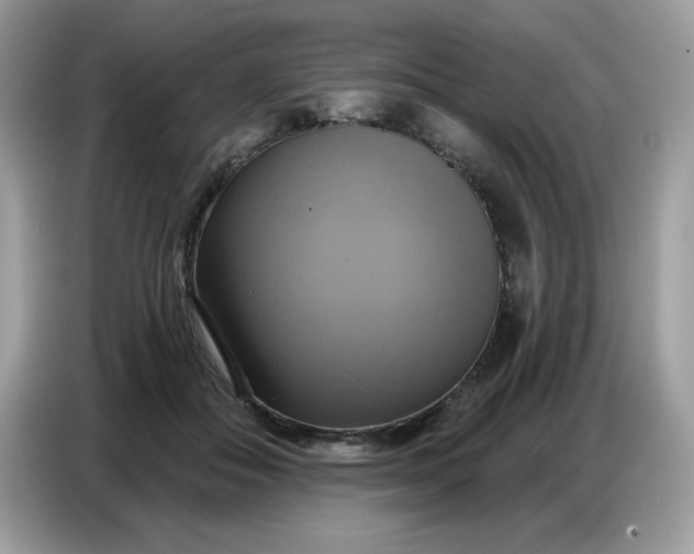 X0000086750506200704271713