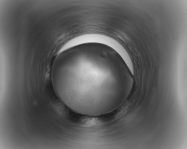 X0000086750507200704271713