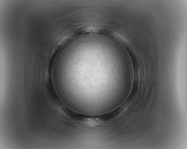 X0000086750508200704271713