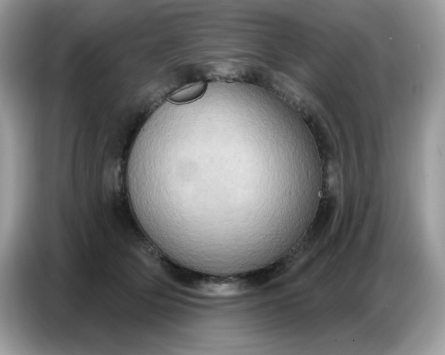 X0000086750514200704271713