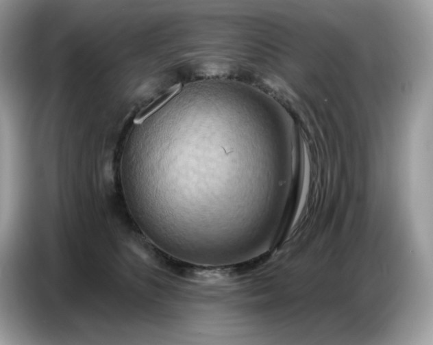 X0000086750516200704271713