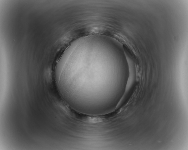 X0000086750520200704271713