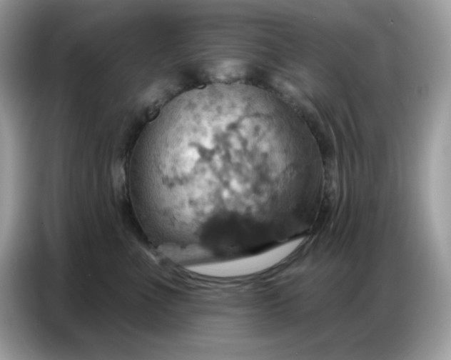 X0000086750523200704271713