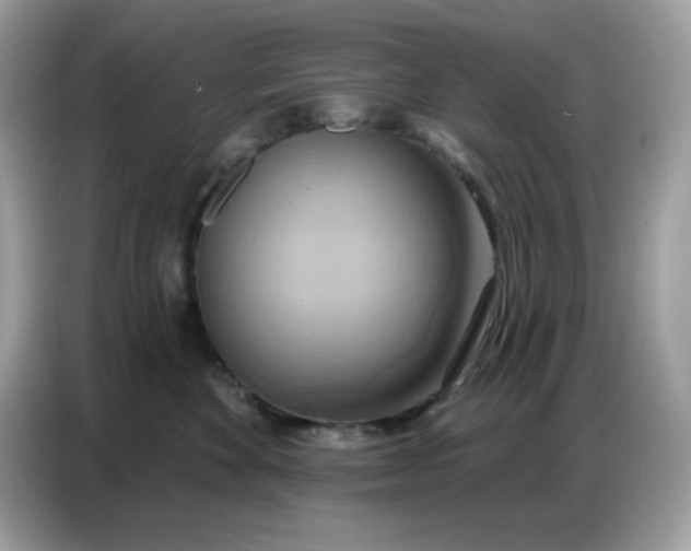 X0000086750524200704271713