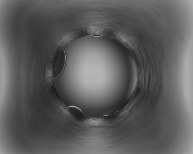 X0000086750526200704271713