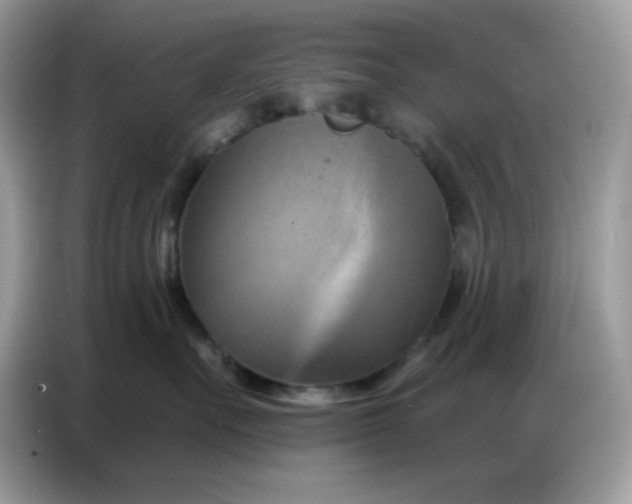 X0000086750527200704271713