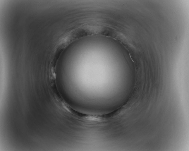 X0000086750528200704271713