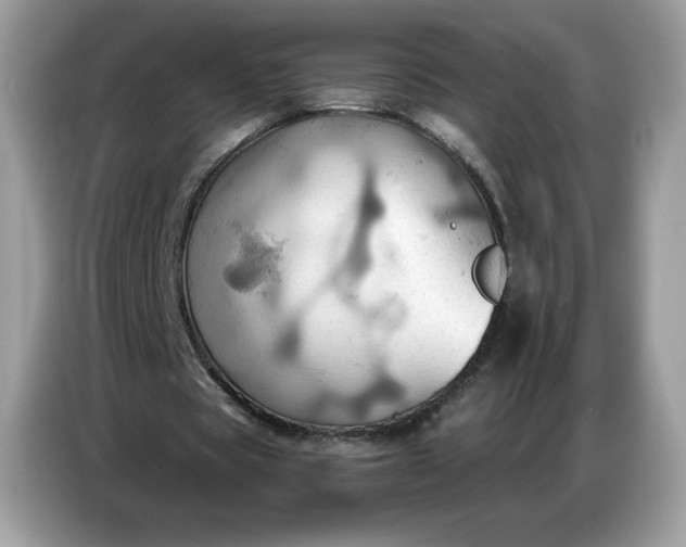 X0000086750529200704271712