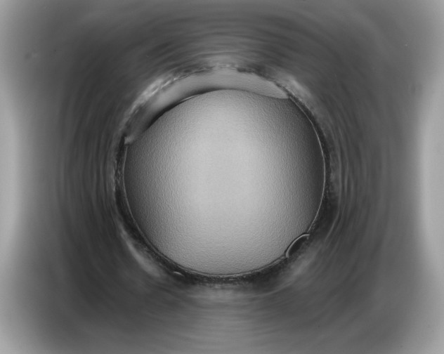 X0000086750530200704271712