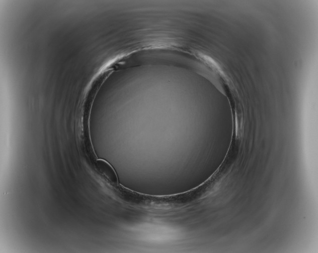 X0000086750531200704271712