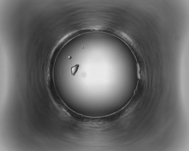 X0000086750532200704271712