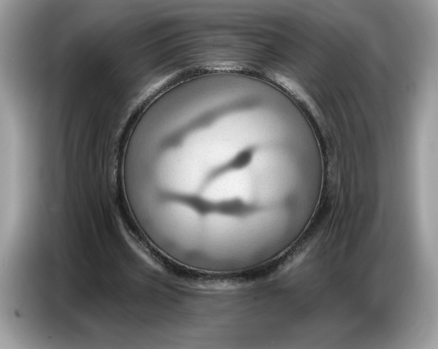 X0000086750533200704271712