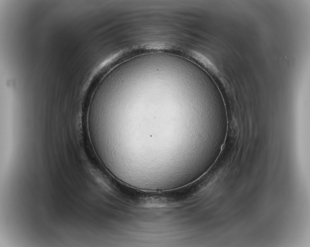 X0000086750535200704271712