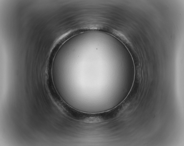 X0000086750536200704271712